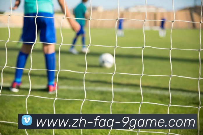 J9九游APP 封面图